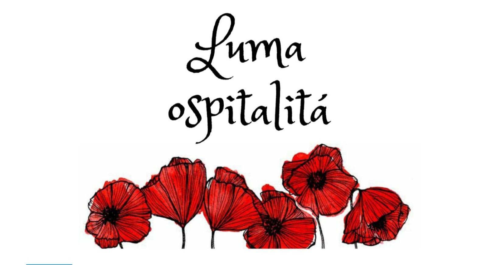 Luma Ospitalita Daire Molfetta Dış mekan fotoğraf